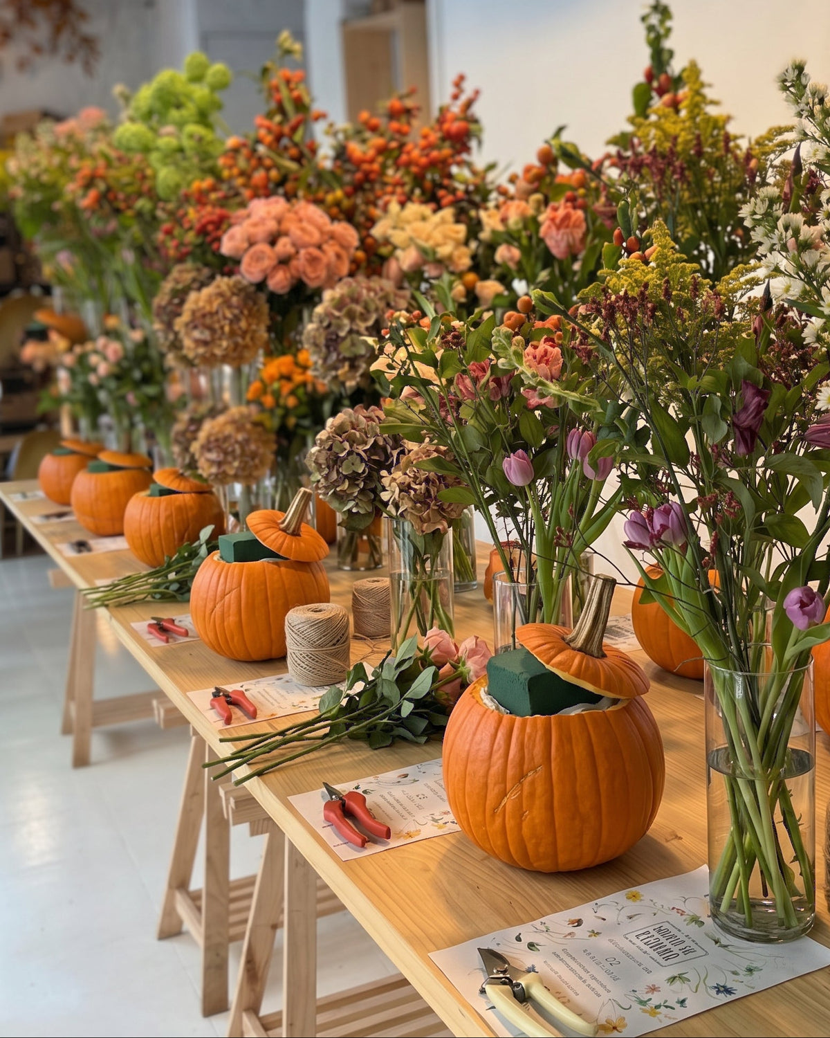 Taller Calabaza de flor de Otoño Sábado 31 de Octubre 17h