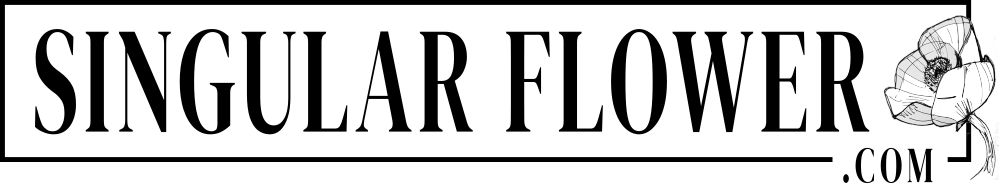 sf-logo-peq2-1