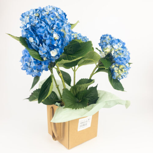 Bolsa de maceta de flor de temporada